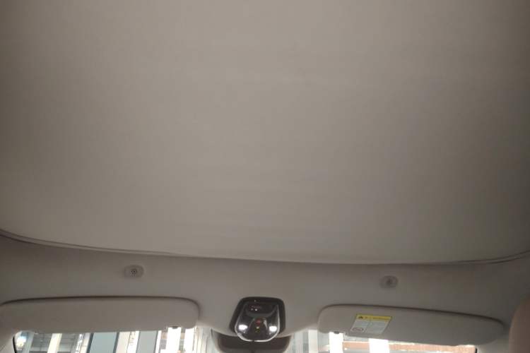 Used IM LS6 2023 Max Standard Edition
