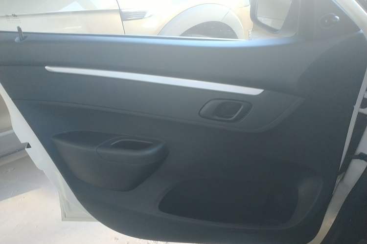 Used Venucia e30 2020 Elite Edition
