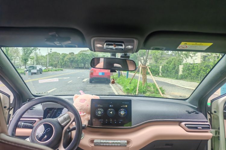 Used BYD Seagull 2025 305 km Free Version Headliner