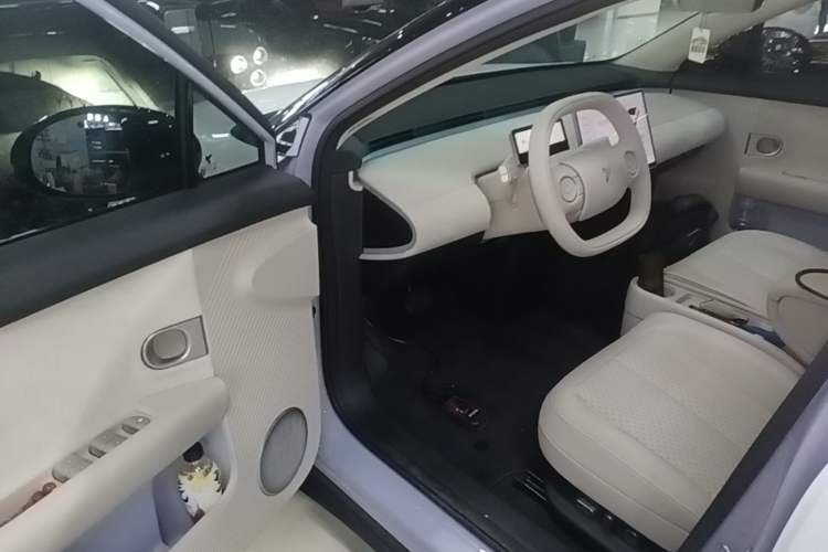 Used firefly 2025 Illuminated Edition