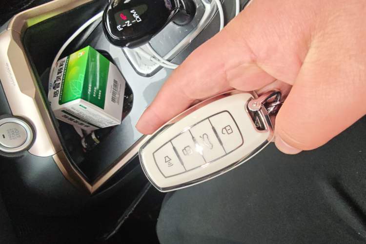 Used Haval H6 2021 1.5T Automatic Champion Edition