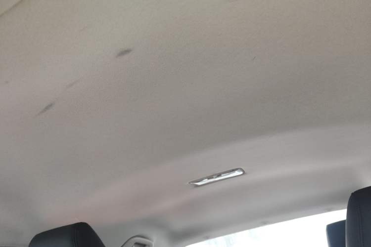 Used Toyota Corolla 2021 1.2T S-CVT Pioneer PLUS Edition Headliner