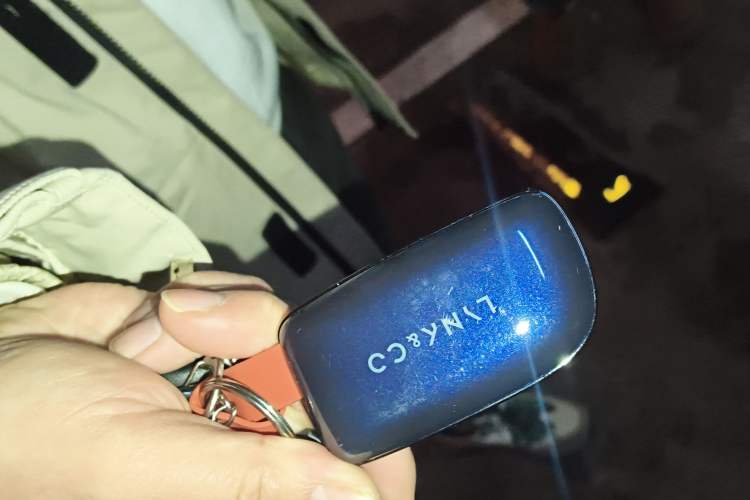 Used Lynk & Co Z20 2025 530 km Range Rear-Wheel Drive Max
