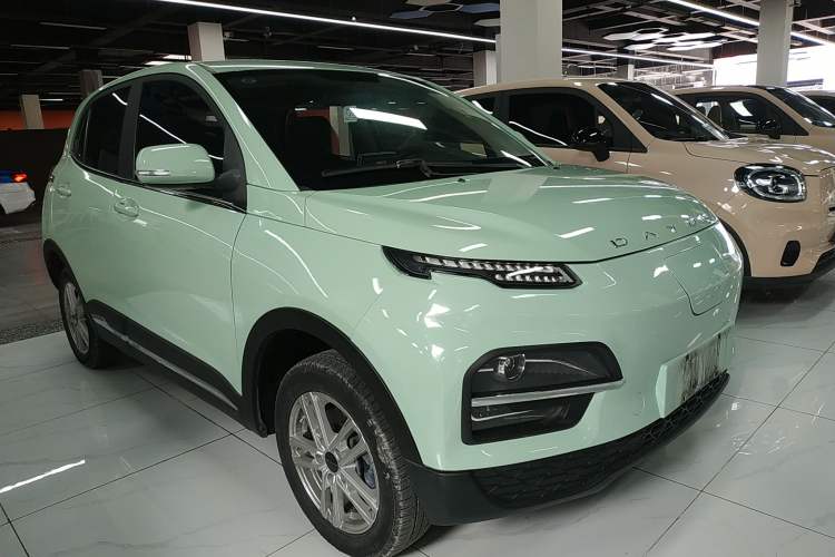 Used Dayun Yuehu 2022 30.66 kWh Two-Wheel Drive Standard Version
