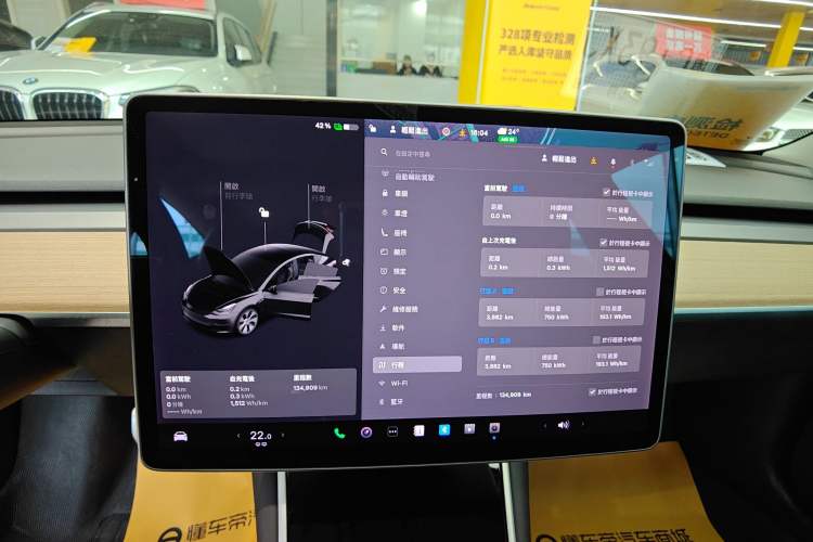 Used Tesla Model 3 (Import) 2019 Performance High-Performance All-Wheel-Drive Version
