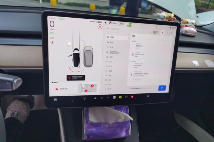 Used Tesla Model 3 2021 Standard Range Rear-Wheel Drive Upgraded Version 3D6