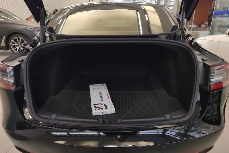 Used Tesla Model 3 2022 Rear-Wheel-Drive Version
