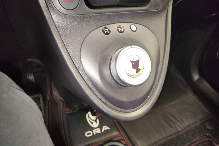 Used ORA Black Cat 2022 Updated Version 301 km Cute Pet Edition Lithium Iron Phosphate
