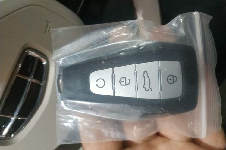 Used Geely Auto Monjaro L 2021 2.0TD High-Power Automatic All-Wheel-Drive Flagship Version
