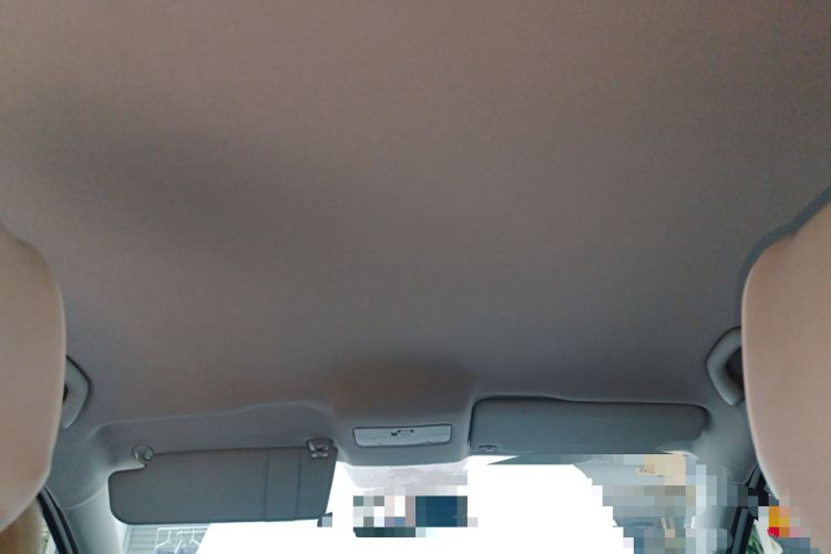 Used Volkswagen Polo 2011 1.6L Automatic ZhiShang Version Headliner