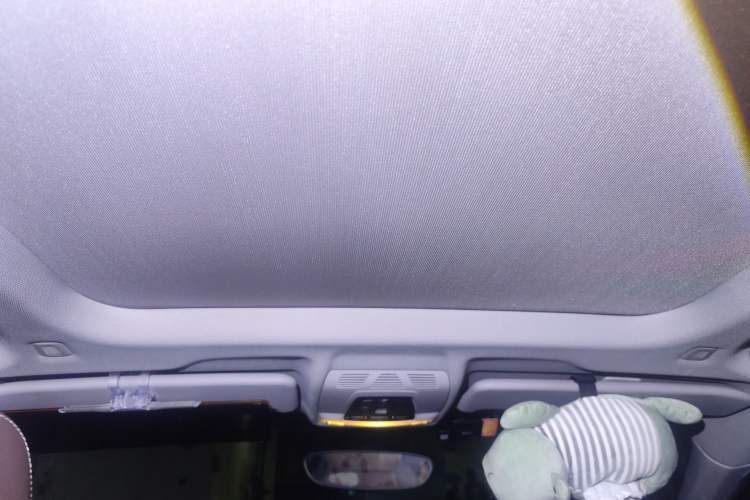 Used BMW X1 2021 sDrive20Li Fashion Model Headliner