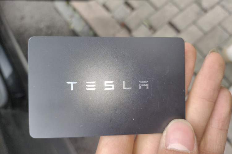 Used Tesla Model Y 2023 Rear-Wheel-Drive Version
