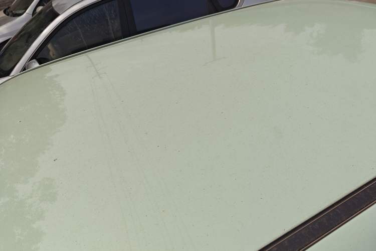 Used Qiyuan Lumin 2023 205km Xiangqin Version