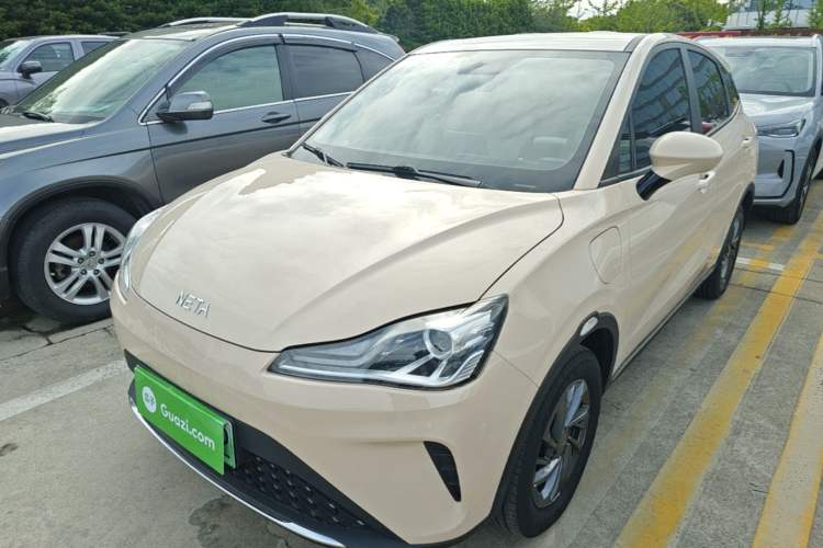 Used NETA AYA 2023 318 Lite