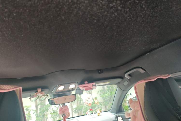 Used Volvo C40 2022 Long-Range PRO Version Headliner