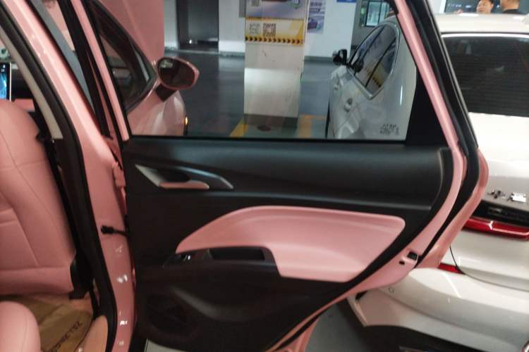 Used NETA V 2022 Chao 400 Lite Pink Custom Edition Right Rear Door Interior
