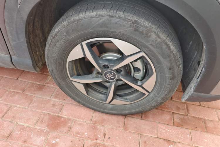 Used BYD Yuan UP 2024 401KM Leading Edition
