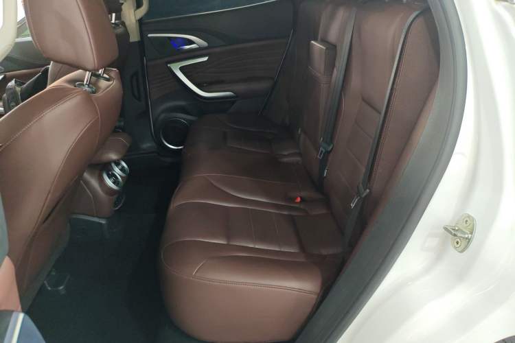 Used Wey VV7 2020 2.0T Ultra-Luxury Version Left Rear Seat