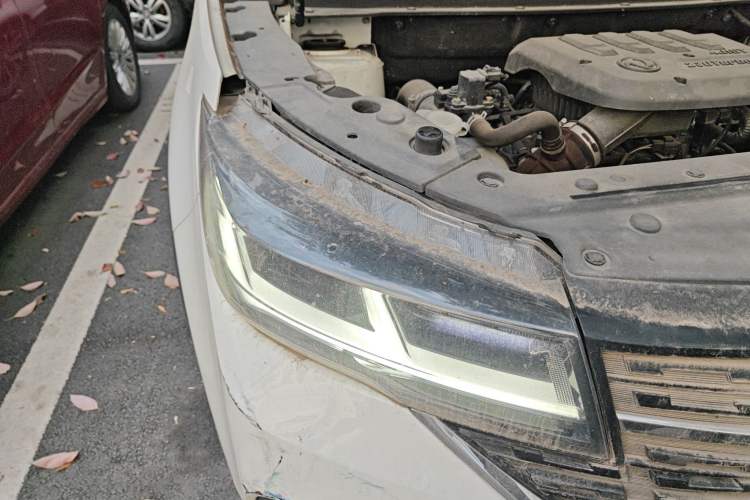 Used FORTHING T5L 2020 1.5T Automatic Luxury 7-Seater China VI Standard
