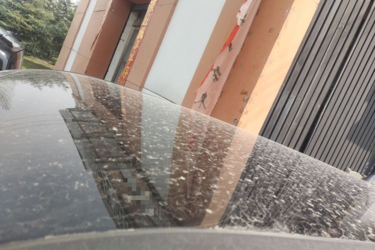 Used Chery QQ Ice Cream 2025 205km Qi Energy Version Roof