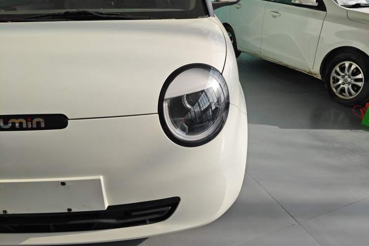 Used Qiyuan Lumin 2023 205km Xiangqin Version