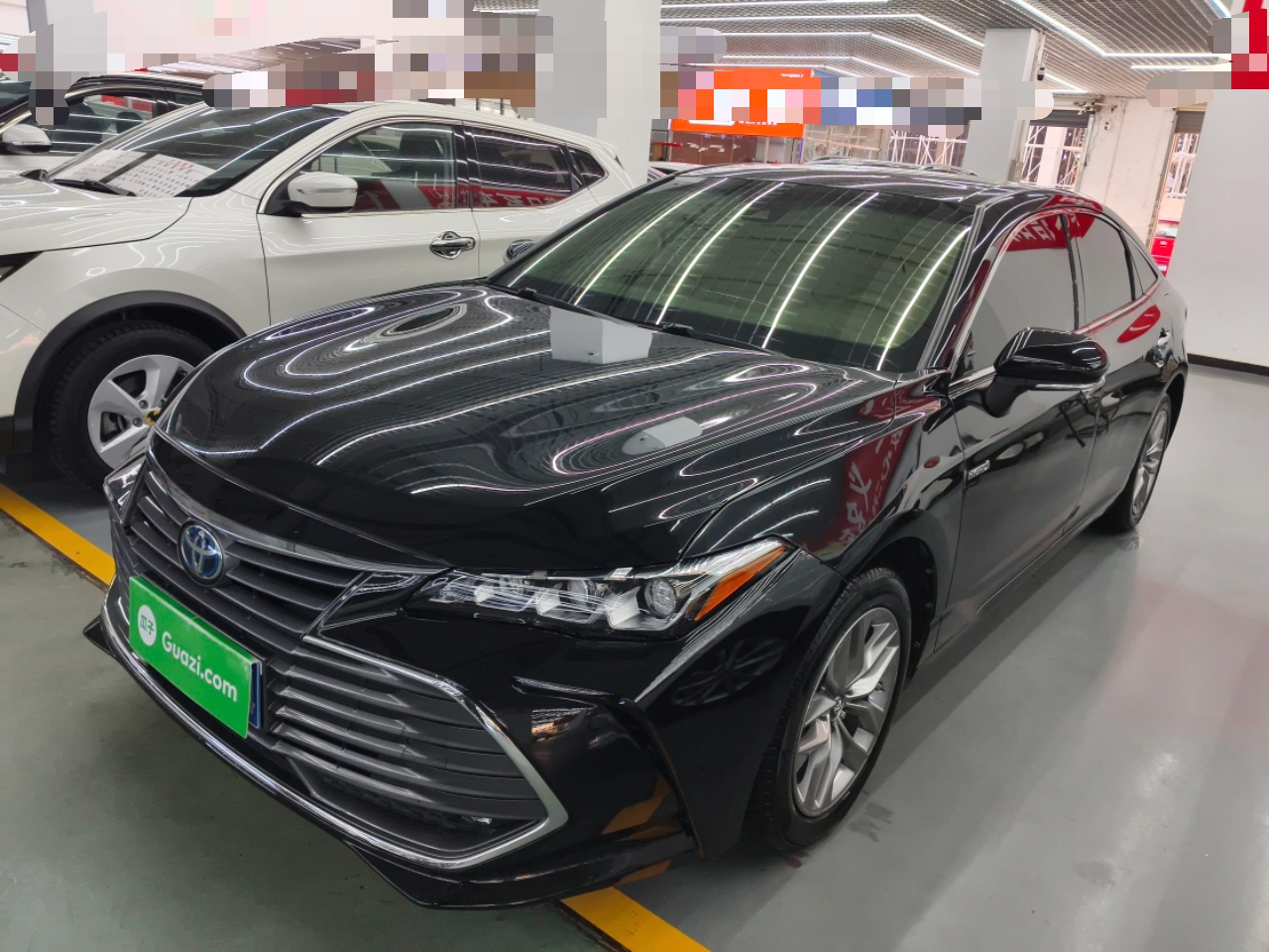 Parte inferior delantera