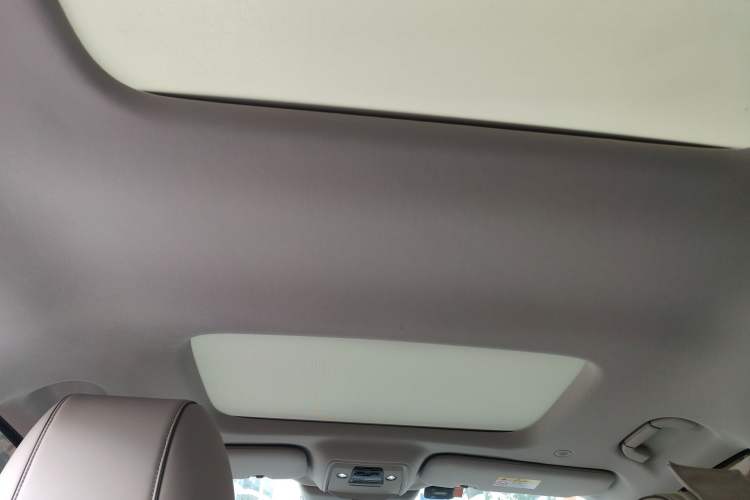 Used Denza D9 2022 DM-i 1040 Prestige Model Headliner