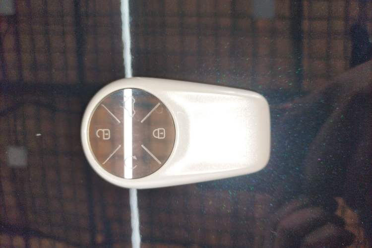 Used EXEED Lingyun 2025 300T Two-Wheel Drive Starry Edition
