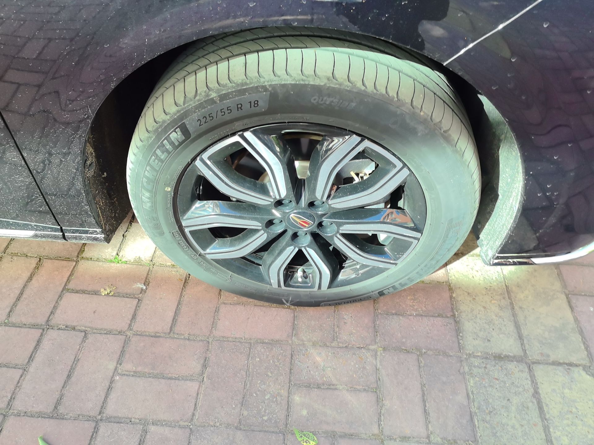 Hongqi HQ9 2023 2.0T Smart Connect Flagship Edition - Chinese Trim Xiang — снимка 8