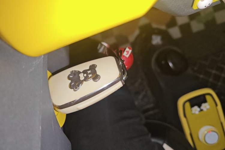 Used Chery QQ Ice Cream 2022 170km Sundae Phosphate Lithium-Ion Vehicle Key