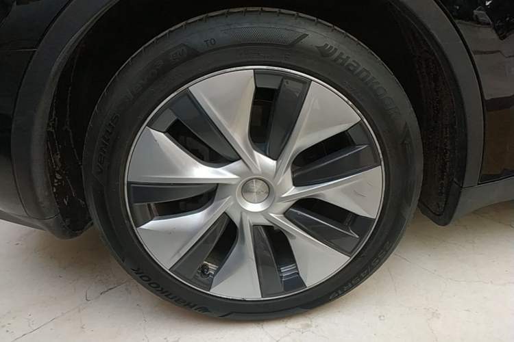 Used Tesla Model Y 2021 Standard Range Rear-Wheel Drive Version
