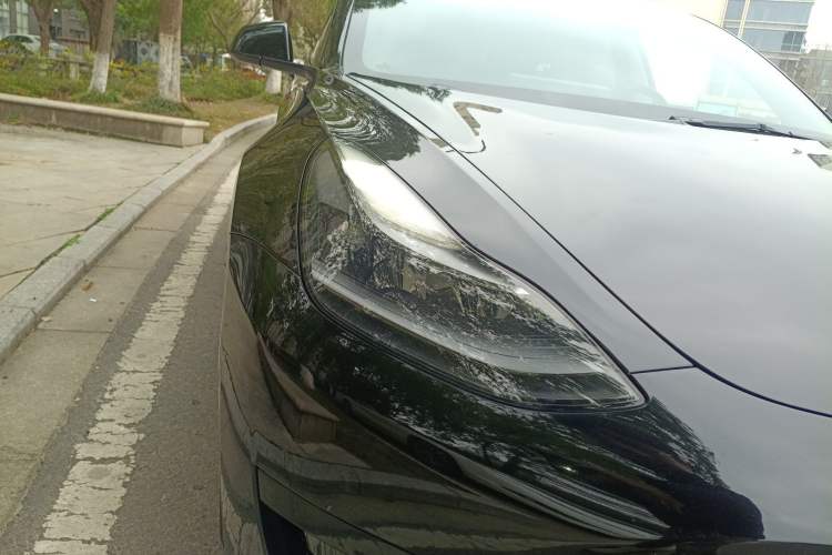 Used Tesla Model 3 2021 Standard Range Rear-Wheel Drive Upgraded Version 3D6
