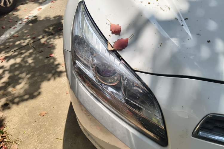 Used Chevrolet Malibu 2013 1.6T Automatic Comfort Edition Right Front Headlight