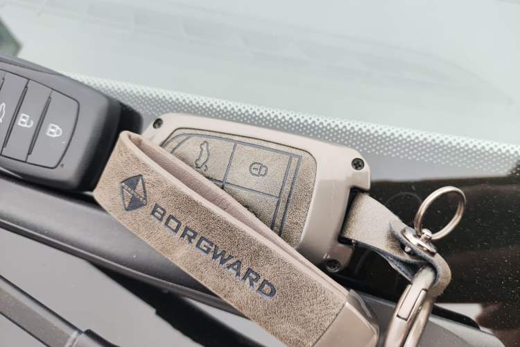 Used BORGWARD BX5 2017 20TGDI Automatic Two-Wheel Drive Pioneer Edition
