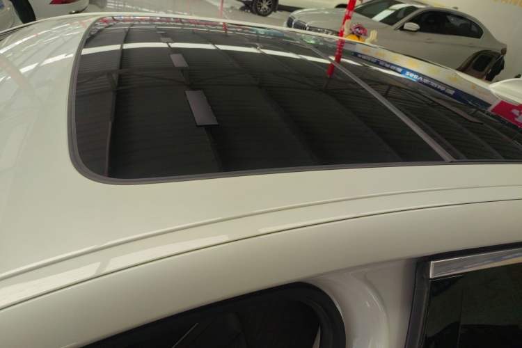 Used BMW 5 Series 2020 530Li Luxury Edition Premium Package
