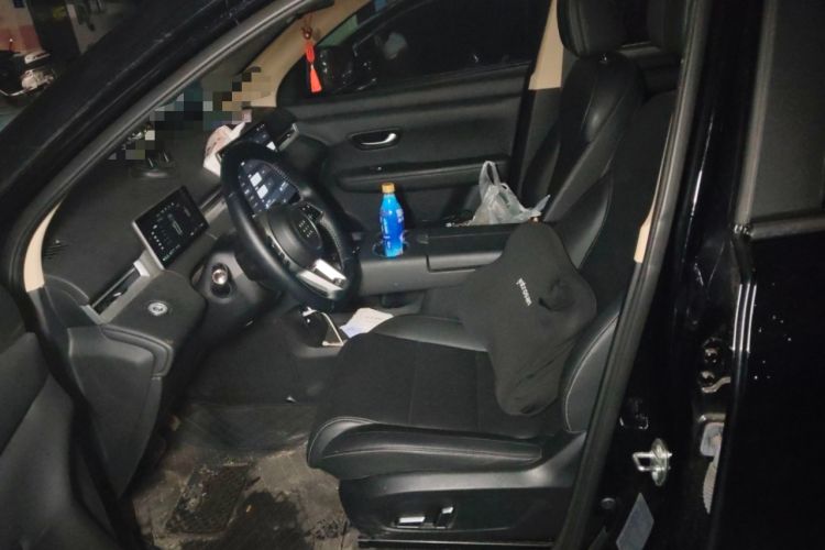 Used Landian E5 PLUS 2025 165 km Long-Range First Edition 5-Seater