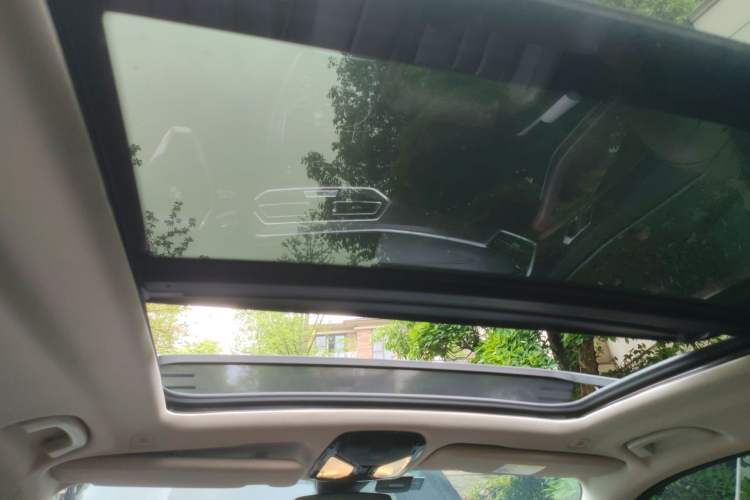 Used BMW X5 2019 xDrive30i X Design Package Headliner