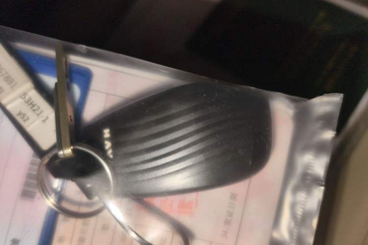 Used Haval DARGO 2026 Model 2.0T DCT Chinese Rural Dog Edition
