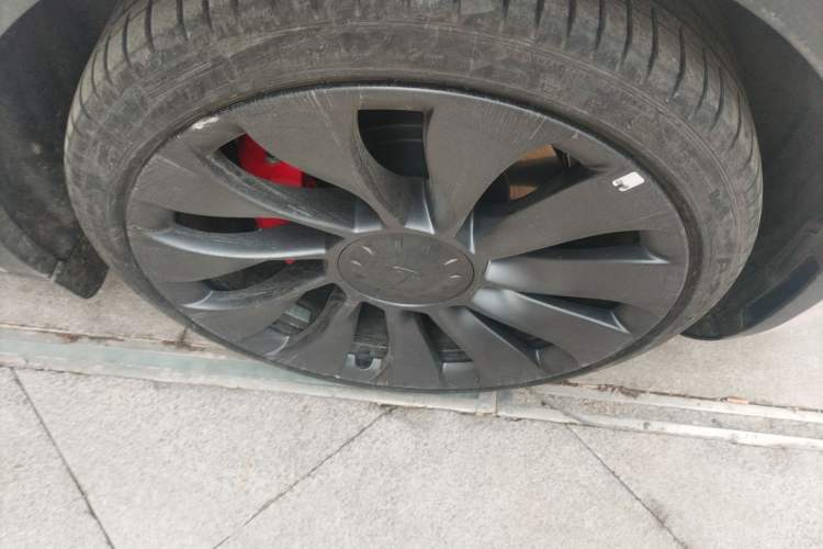 Used Tesla Model Y 2023 High-Performance All-Wheel-Drive Version
