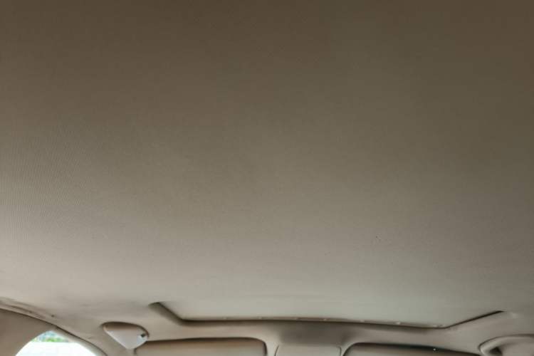 Used Volkswagen Passat 2007 1.8T Manual Luxury Model Headliner