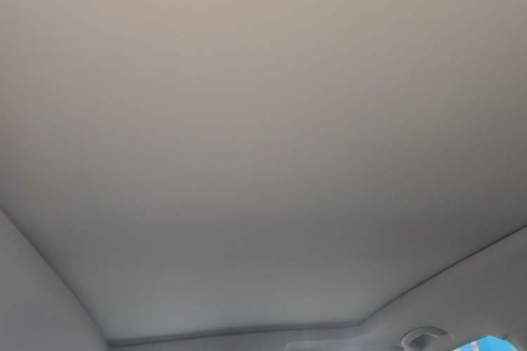 Used Volkswagen Tiguan L 2020 330TSI Automatic Two-Wheel Drive Smart Luxury Edition China VI Standard Headliner