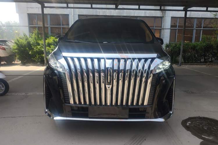 Used Wey Gaoshan 2023 Four-Wheel-Drive Executive Extended Version Front