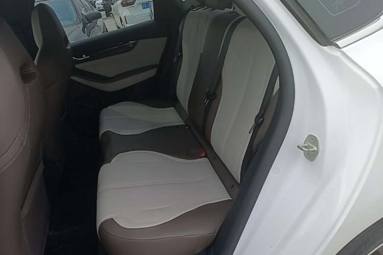 Used BYD Qin PLUS 2023 Champion Edition DM-i 55KM Leading Model Left Rear Seat