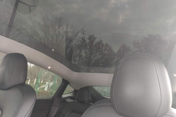 Used Tesla Model Y 2021 Standard Range Rear-Wheel Drive Version
