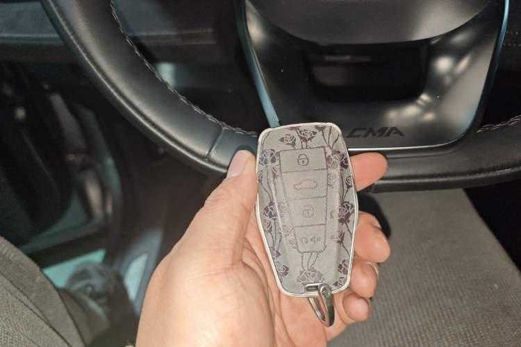 Used Geely Auto Monjaro L 2024 2.0TD High-Power Automatic Two-Wheel Drive Skyline Edition