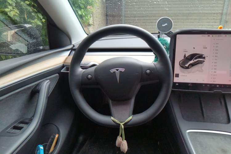 Used Tesla Model Y 2022 Revised Version Long-Range All-Wheel Drive