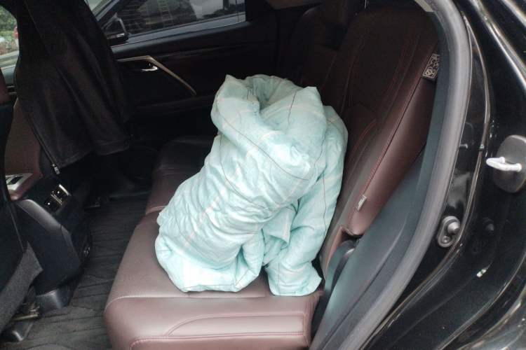 Used Lexus RX 2020 Facelifted 300 4x4 Elegant Edition
