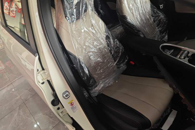 Used BYD Dolphin 2025 420km Free Edition