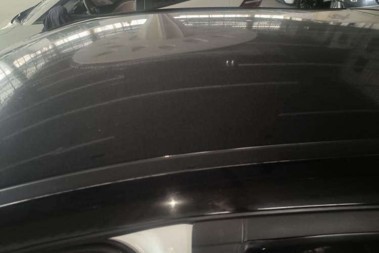 Used SOL E10X 2022 Flower Fairy Style Baby's Breath