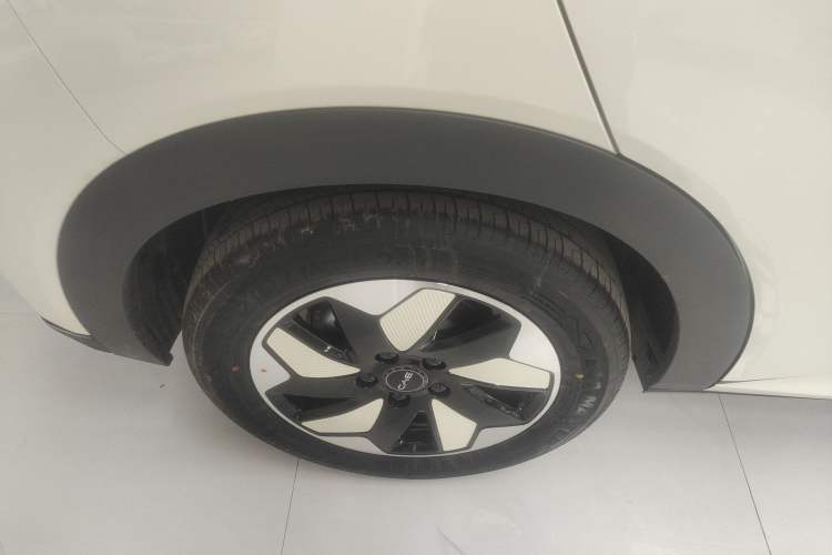 Used BYD Dolphin 2025 420km Free Edition